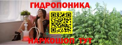 прущие крисы Комсомольск-на-Амуре