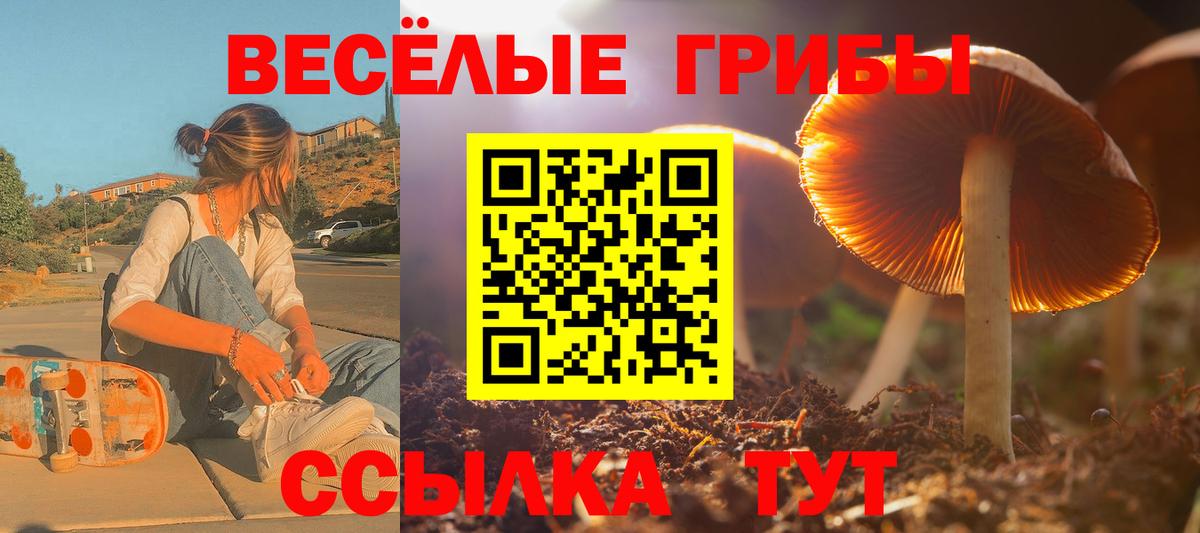 Псилоцибиновые грибы Cubensis Тайшет