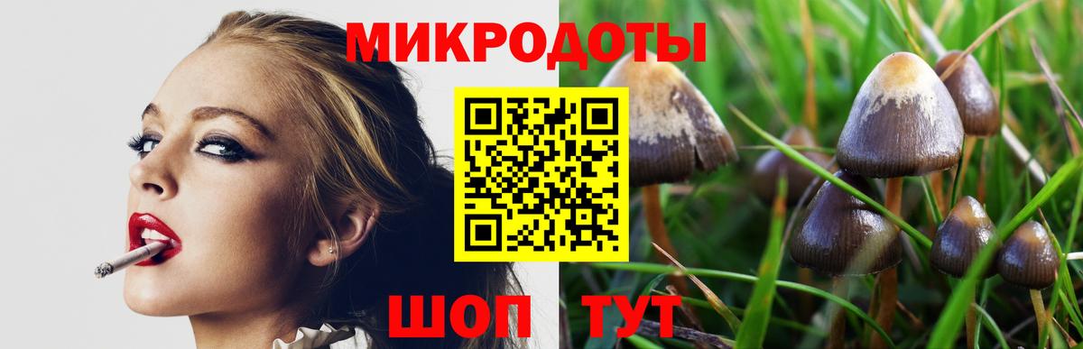 Тайшет  Галлюциногенные грибы ЛСД  Вход с VPN 